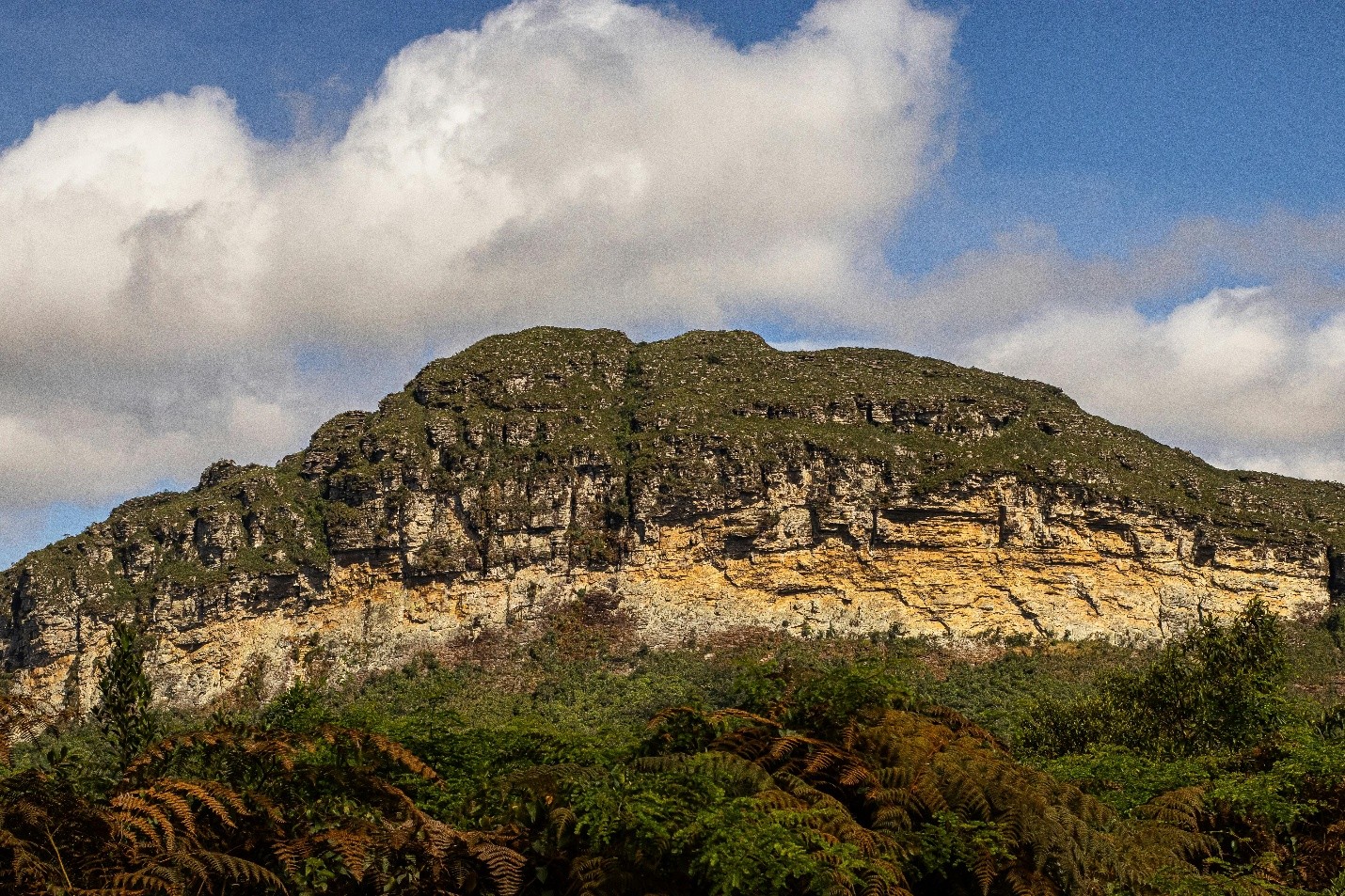 Mount Nyangani
